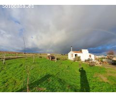 FINCA RUSTICA CON EDIFICACION EN EL PERDIGON