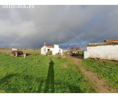 FINCA RUSTICA CON EDIFICACION EN EL PERDIGON