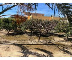 CHALET EN VENTA DE 7D CON PARCELA EN PRODUCCION