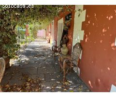FINCA URBANA EN EL CENTRO DEL PUEBLO DE TORREMANZANAS.