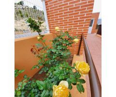 Piso en Venta en Villajoyosa, Alicante