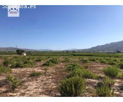 Venta Finca 17.500 mts con Casa Aperos y Balsa Riego