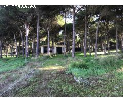 Villa Rustica