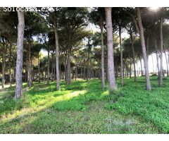 Villa Rustica