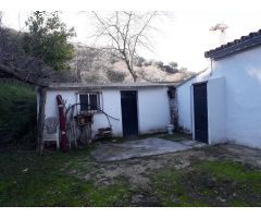 Maravillosa finca rústica en Jubrique con placas solares y WIFI