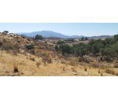 TERRENO EN VALTOCADO FINCA EL TONEL