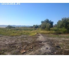 Parcela en Torrecilla, Lorca-Murcia