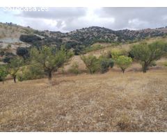 Cortijo para reformar en Vélez Rubio - Zona La Oliverica