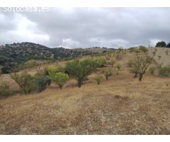 Cortijo para reformar en Vélez Rubio - Zona La Oliverica