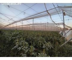 Oportunidad única, terreno en Puerto Lumbreras - Zona El Esparragal