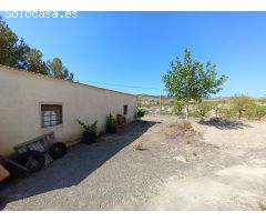 TERRENO RURAL CON NAVE AGRÍCOLA EN VELEZ RUBIO