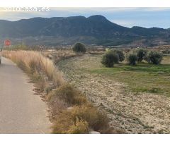 PARCELA DE 9000 M2 CON VISTAS AL CEJO