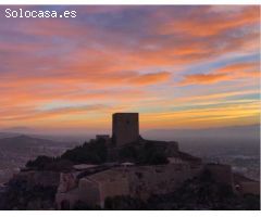 PARCELA DE 9000 M2 CON VISTAS AL CEJO