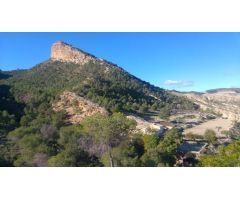 PARCELA DE 9000 M2 CON VISTAS AL CEJO