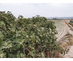 TERRENO RURAL URBANIZABLE EN LORCA