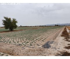 TERRENO RURAL URBANIZABLE EN LORCA
