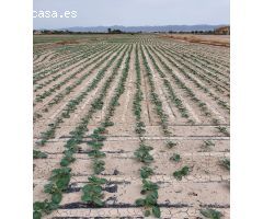 TERRENO RURAL URBANIZABLE EN LORCA