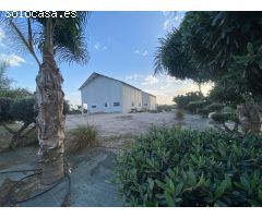 FINCA DE OLIVOS CON DOS NAVES