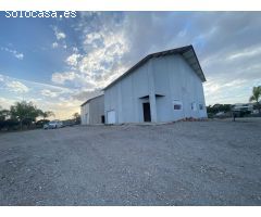 FINCA DE OLIVOS CON DOS NAVES