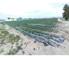 PARCELA CON BALSA EN EL ESPARRAGAL DE PUERTO LUMBRERAS