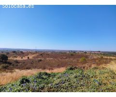 FINCA DE 2 HECTAREAS CON VIVIENDA, 3 DORMITORIOS, 2 BAÑOS, AGUA DE RED , LUZ, BUEN ACCESO Y VISTAS