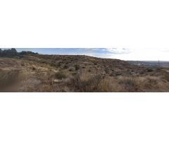 TERRENO RUSTICO A 10 MINUTOS DE ELCHE