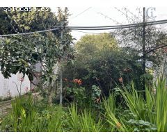 Se vende parcela Segregada en la zona del Fontanal
