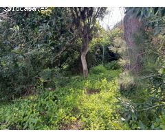 Se vende parcela Segregada en la zona del Fontanal