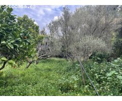 Se vende parcela Segregada en la zona del Fontanal