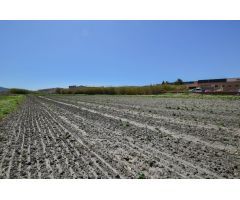 VENTA DE FINCA EN MOTRIL