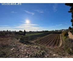 SOLAR AGRARIO EN CAMARLES