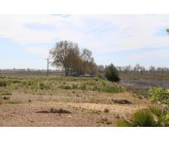 TERRENO RUSTICO EN L´ALDEA 12.844M2