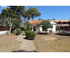 Alquiler de chalet independiente de una planta en la Eliana