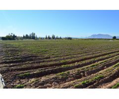 PARCELA DE 13.294 M2  ZONA  BAR ROCIO