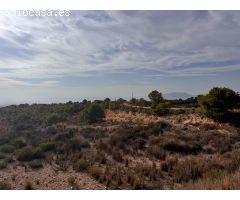 Parcela de 19400m2 para edificar un chalet con precisosas vistas.  a 7 MINUTOS DEL PUEPrecio 105.000