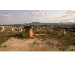 SE VENDE TERRERO EN RAIGUERO DE BONANZA, pedanía de Orihuela (Alicante)