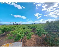 Casa de campo con gran terreno a 5 minutos de La Pobla Llarga