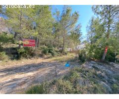 Se vende solar 1900 m2 en Urbanización San Bernat en Alzira