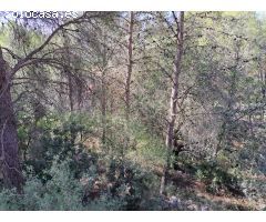 Se vende solar 1900 m2 en Urbanización San Bernat en Alzira
