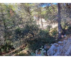 Se vende solar 1900 m2 en Urbanización San Bernat en Alzira