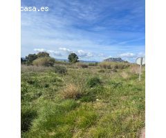 Se venden rústicos en Denia a 200 metros de la playa