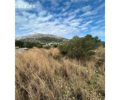 Se vende terreno urbanizable en Tormos