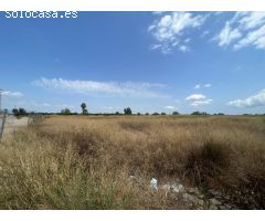 Venta de 7 Suelos Urbanos Residenciales en Benimuslem