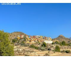 Espectacular Finca producción olivos con vivienda