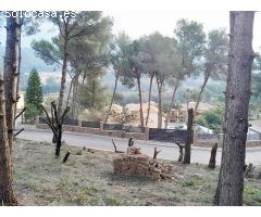 ¡Construye tu refugio en La Sella! ????????