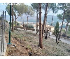 ¡Construye tu refugio en La Sella! ????????