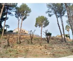 ¡Construye tu refugio en La Sella! ????????