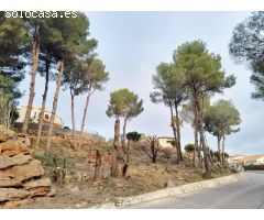 ¡Construye tu refugio en La Sella! ????????