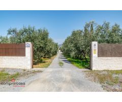 Vivienda Autosuficiente: Finca con Placas Solares, Agua de Pozo y Piscina