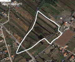 Solar en Venta Serratelles Nules